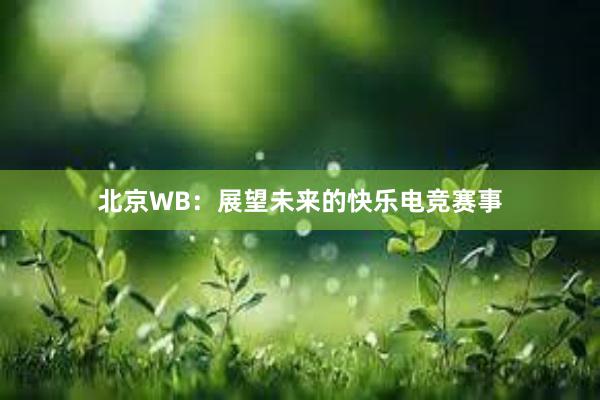 北京WB：展望未来的快乐电竞赛事